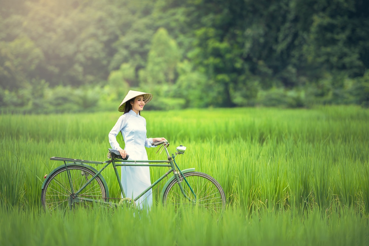 bicycle, female, green-1822417.jpg